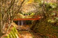 Japanese garden in autumn season, decorated with an orange wooden bridge cross small waterfall under colorful leaves of maple