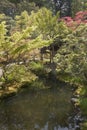 Japanese garden with a backlit trees and a tranquil river in foreground. Royalty Free Stock Photo
