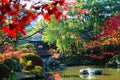Japanese garden, beautiful autumn scenery in Kyoto Royalty Free Stock Photo