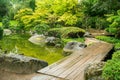 Japanese garden in Bonn with wooden bridge and small pine round shape
