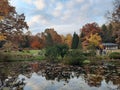 Japanese garden. Botanic garden, Moscow, Autumn. Artificial pond, leaves in the water.