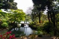 Japanese garden and bridge crossed by two friends Royalty Free Stock Photo