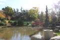 Japanese garden bridge