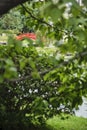 Japanese Garden of Buenos Aires, Argentina. Taiko Bashi or curved bridge Royalty Free Stock Photo