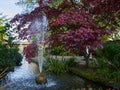 Japanese Garden in Bury St Edmunds Royalty Free Stock Photo