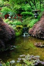 Japanese garden in butchart gardens Royalty Free Stock Photo