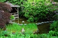 Japanese garden in butchart gardens Royalty Free Stock Photo