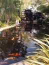 A Japanese garden decorated with a koi pond. Royalty Free Stock Photo