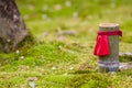 Japanese garden detail Royalty Free Stock Photo