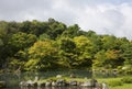 Japanese garden in early autumn, Kyoto Royalty Free Stock Photo