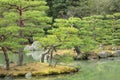 Japanese garden in early autumn. Royalty Free Stock Photo