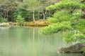 Japanese garden in early autumn. Royalty Free Stock Photo