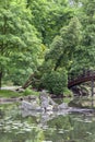 Japanese Garden, exotic plants, spring, Wroclaw, Poland