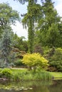 Japanese Garden, exotic plants, spring, Wroclaw, Poland