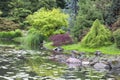 Japanese Garden, exotic plants, spring, Wroclaw, Poland