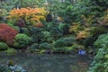 Japanese Garden in the Fall.