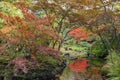 Japanese garden in fall with shades of red, orange en green