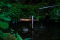 Japanese garden The famous gardens of Butchert on Victoria Island. Canada. The Butchart Gardens Royalty Free Stock Photo