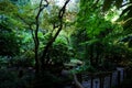 Japanese garden The famous gardens of Butchert on Victoria Island. Canada. The Butchart Gardens Royalty Free Stock Photo