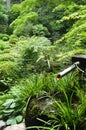 Japanese Garden Fountain Royalty Free Stock Photo