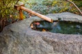 Japanese Garden Fountain Royalty Free Stock Photo