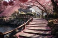 Japanese garden, graced by the delicate beauty of blossomed cherry trees in full bloom, creating a serene and picturesque scene. Royalty Free Stock Photo