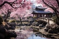 Japanese garden, graced by the delicate beauty of blossomed cherry trees in full bloom, creating a serene and picturesque scene. Royalty Free Stock Photo