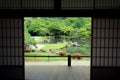 Japanese garden with green maple leaves in Kyoto Japan Royalty Free Stock Photo