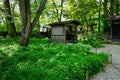 Japanese garden with green trees in summer Royalty Free Stock Photo