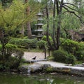 Japanese garden Royalty Free Stock Photo