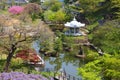 Japanese garden Royalty Free Stock Photo