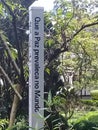 Japanese garden in Ibirapuera Park with a sign reading MAY PEACE PREVAIL IN THE WORLD