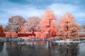 Japanese Garden in Infrared Color