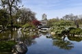 Japanese Garden at Jackson Park