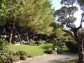 Japanese Garden or Jardin Japonais. Municipal public park in Monte Carlo in Monaco Royalty Free Stock Photo