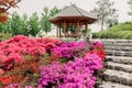 Japanese garden in Krasnodar park. Traditional park, blossom flowers Royalty Free Stock Photo