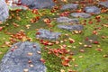 Japanese garden in Kyoto Royalty Free Stock Photo