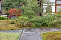 Japanese garden Royalty Free Stock Photo