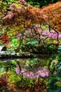 japanese garden with lake in botanical garden Georgia Batumi