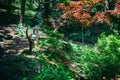 japanese garden with lake in botanical garden Georgia Batumi Royalty Free Stock Photo