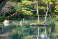 Japanese garden with the lake in Kyoto, Japan Royalty Free Stock Photo