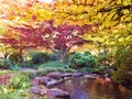 JAPANESE GARDEN IN LITHIA PARK WITH COLORED FALL LEAVES Royalty Free Stock Photo