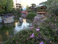 Japanese garden, Monaco Royalty Free Stock Photo