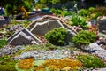 Japanese garden with moss growing peacefully around stacked mountain rock with tiny bonsai trees