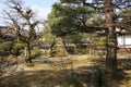 Japanese garden in National Historic site Takayama Jinya, Takayama, Japan