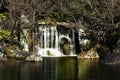 Japanese garden - nihon teien Royalty Free Stock Photo