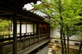 Japanese garden - nihon teien Royalty Free Stock Photo