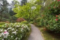 Japanese Garden Path in Spring Royalty Free Stock Photo