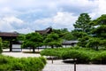 Japanese garden pine trees, Kyoto Japan Royalty Free Stock Photo