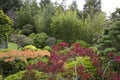 Japanese garden plants